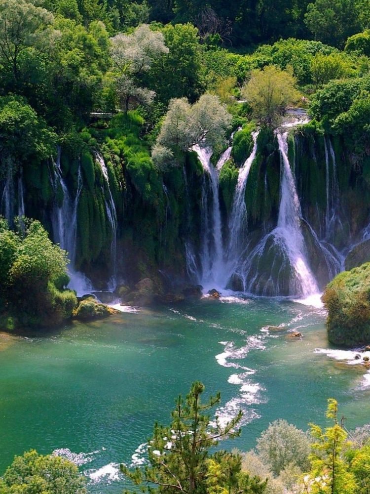 kravifsdce